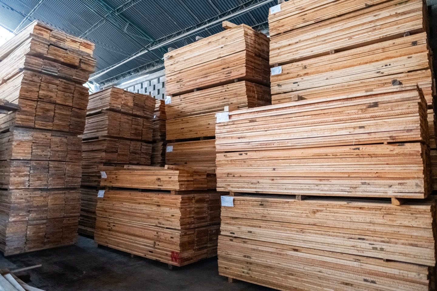 GettyImages-1583463651-e1740929108368